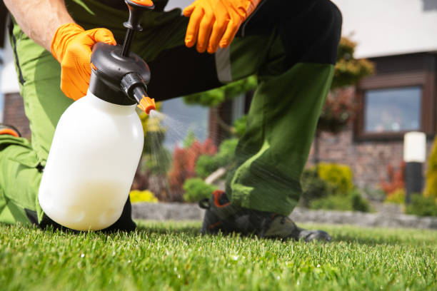 Reliable Kenwood, OH Pest Control Solutions