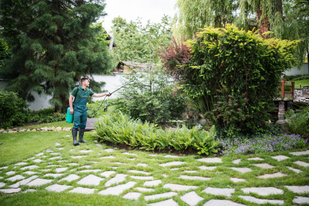 Best Local Pest Control Services  in Kenwood, OH