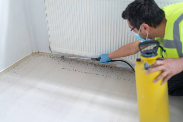 Best Mosquito Control Services  in Kenwood, OH