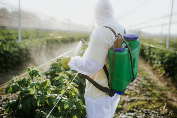 Pest Prevention Services in Kenwood, OH